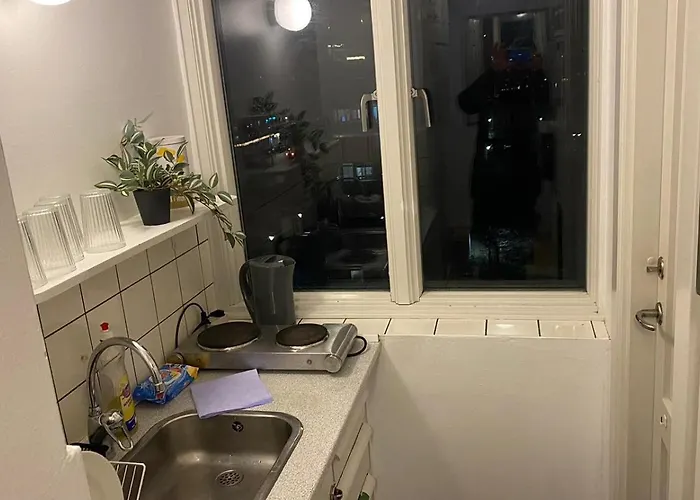 Central Copenhagen Apartment * Copenhague