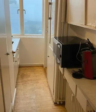 公寓 Central Copenhagen Apartment *